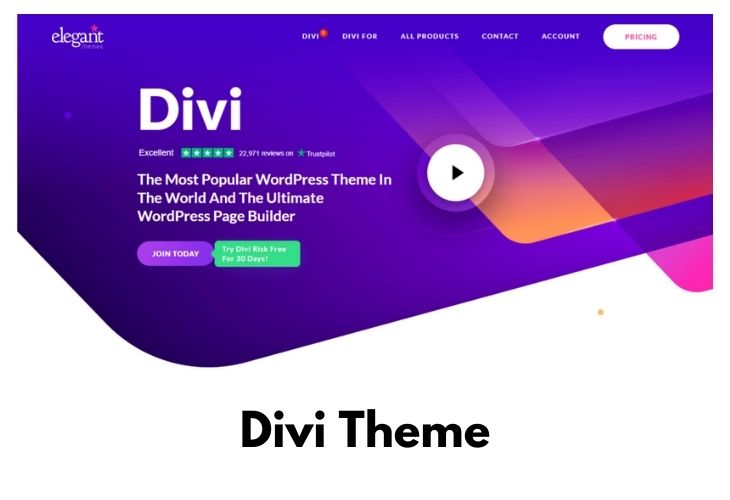 Divi Theme (1)