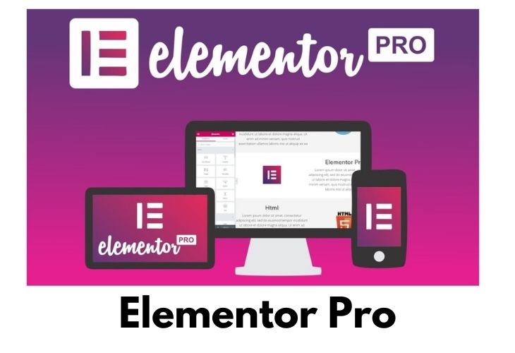 Elementor Pro (1)